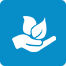 Innovation & Sustainability